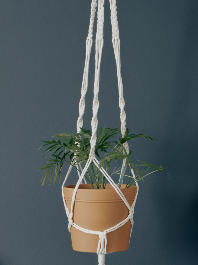 Einfache DIY Makramee Pflanzenampel