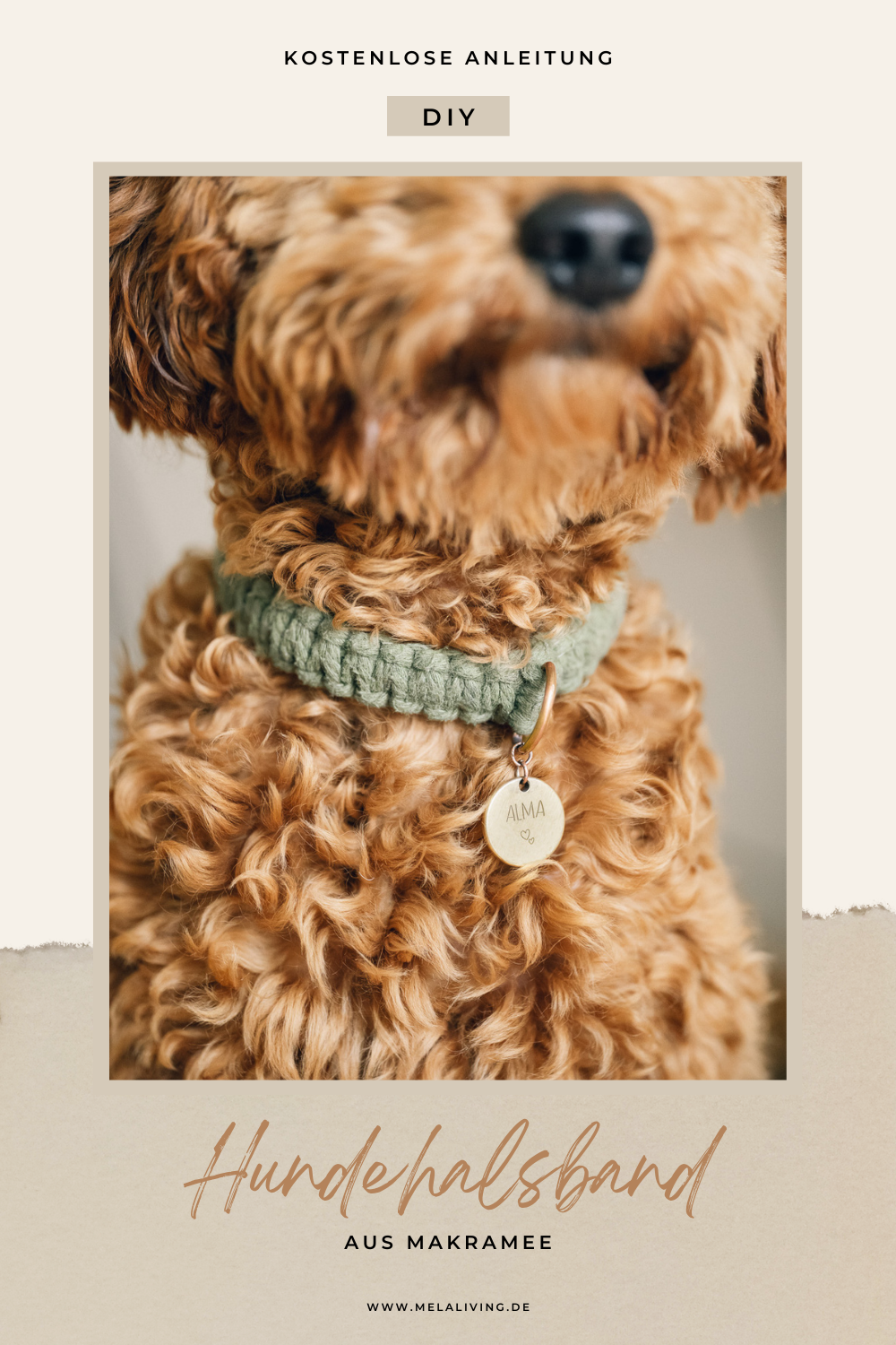 Du möchtest wissen, wie du ein DIY Hundehalsband aus Makramee für deinen Hund einfach selber machen kannst? Ich zeige dir in diesem Blog Post, wie das geht! Hier geht’s zur kostenlosen Anleitung #hundehalsband #hund #makramee #diy @melaliving
